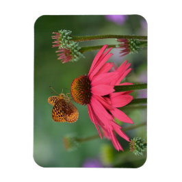 Butterfly Gathering Nectar Magnet