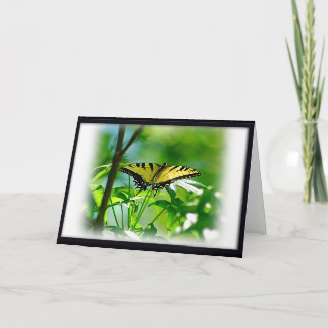 Butterfly Get-brunn Card Kort (Framsida)