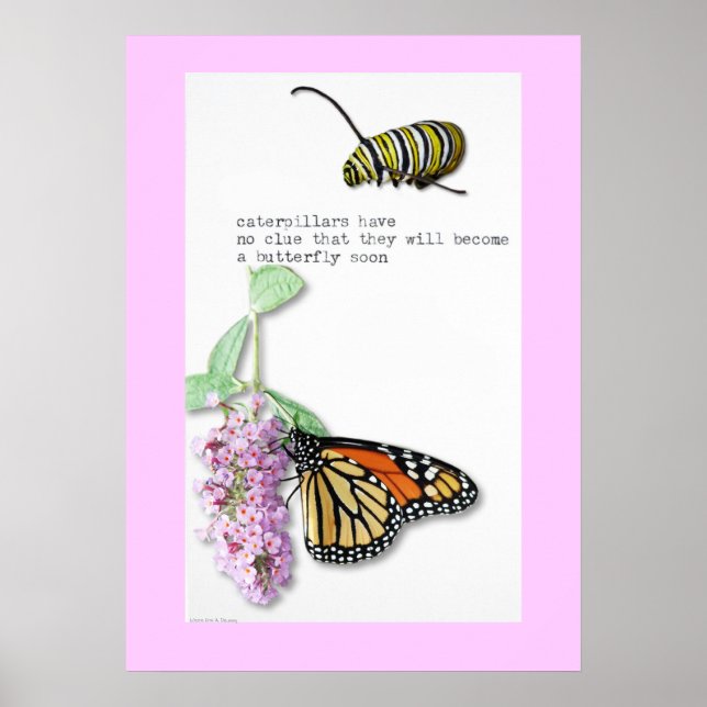 Butterfly Haiku poster (Framsidan)