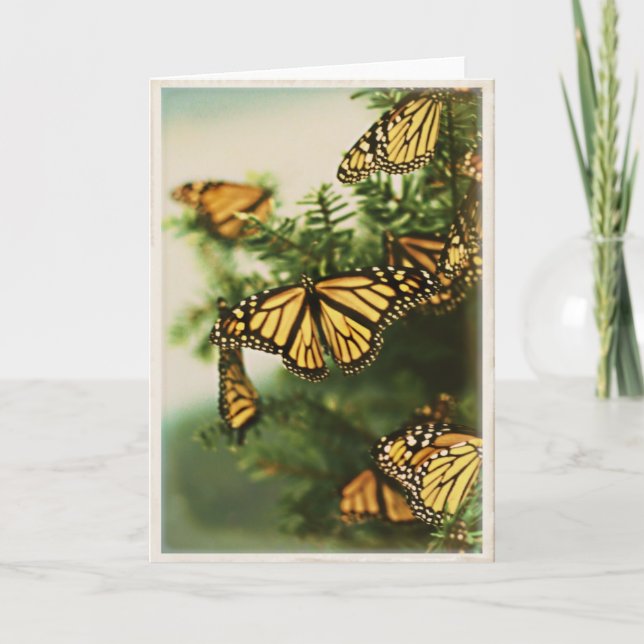 Butterfly Hälsning - Tomt gratulationskort Helgkort (Framsida)