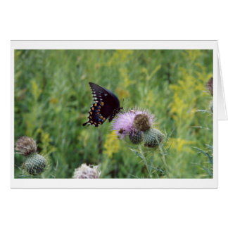 Butterfly Hälsningskort