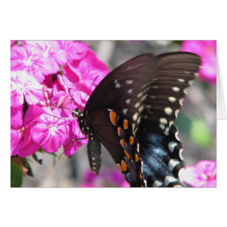 Butterfly Hälsningskort