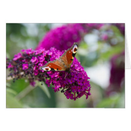 Butterfly Hälsningskort