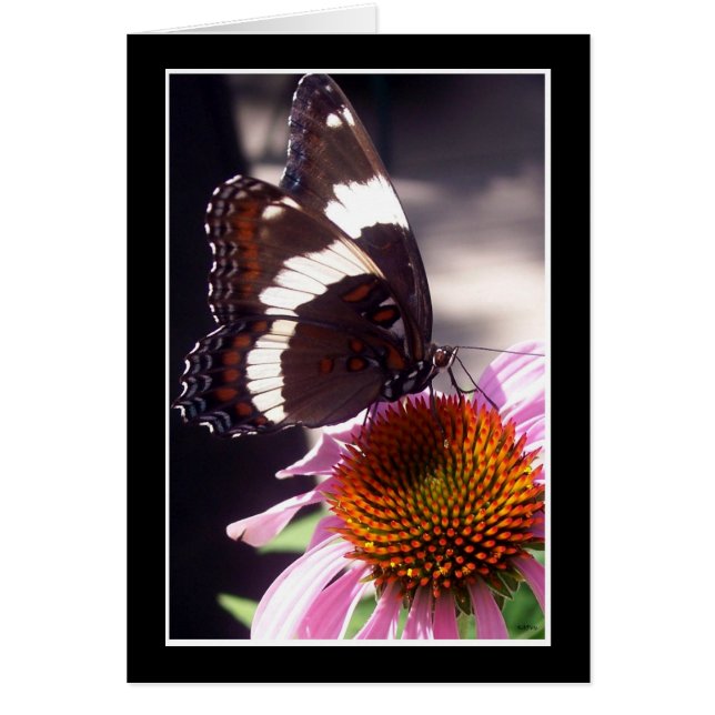 Butterfly Hälsningskort (Framsidan)