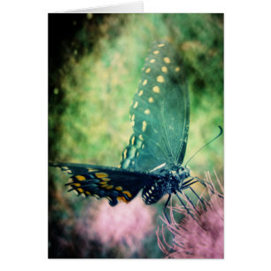Butterfly Hälsningskort