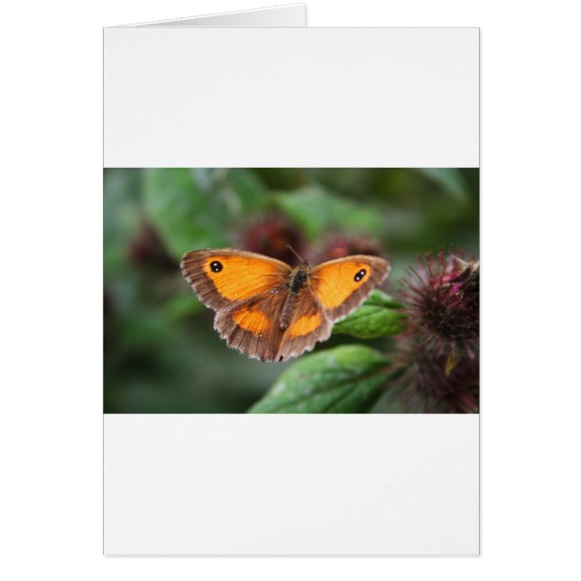 Butterfly Hälsningskort (Framsidan)