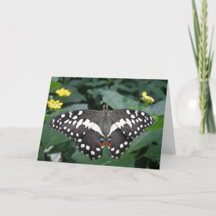 Butterfly-hälsningskort Kort