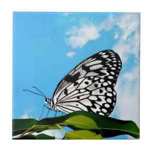 Butterfly & Himlar Kakelplatta