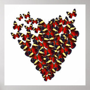 Butterfly-hjärta Poster