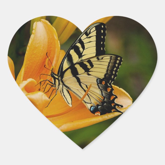 Butterfly Hjärtformat Klistermärke (Framsida)