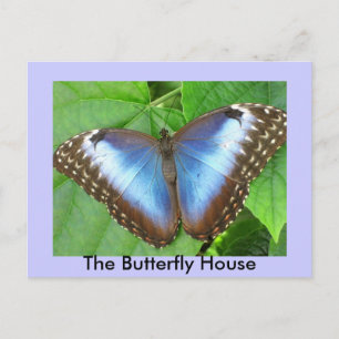 Butterfly House Vykort