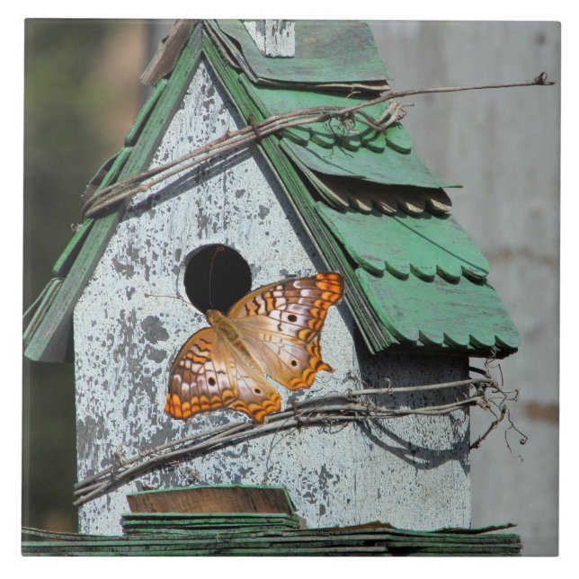 Butterfly i Birdhouse Tile Kakelplatta (Framsidan)