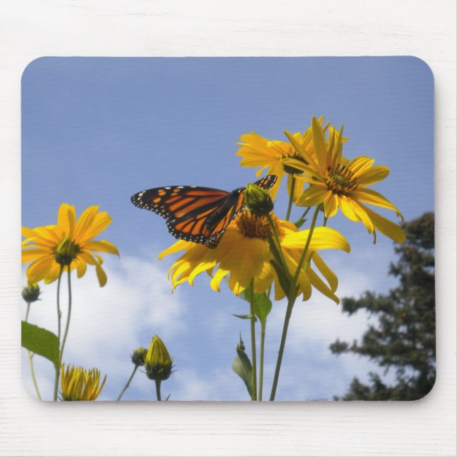 Butterfly i himlar musmatta (Framsidan)