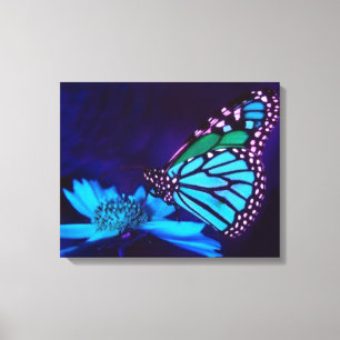 Butterfly i Kanvastrycket Blue Light Canvastryck