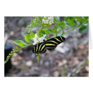 Butterfly i vila hälsningskort