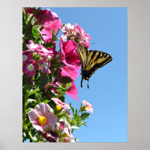 Butterfly II Poster