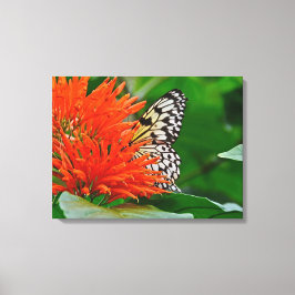 Butterfly in Bloom Canvastryck