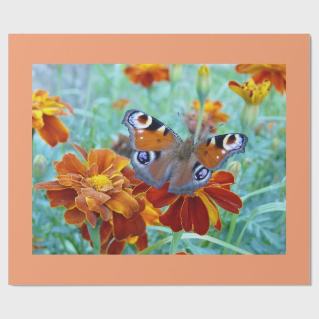 Butterfly in Colorful Garden Presentpapper (Platt)