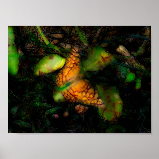 Butterfly in Radiance and Glowing Kant Poster (Framsidan)