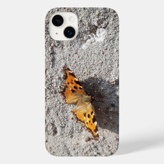 Butterfly in the Sunshine (Baksida)