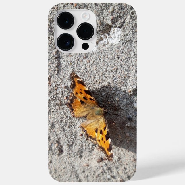 Butterfly in the Sunshine (Baksida)
