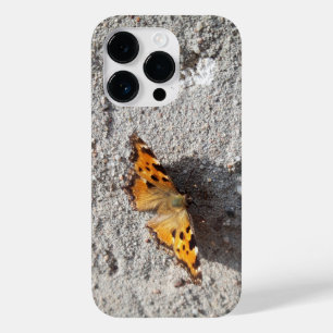 Butterfly in the Sunshine