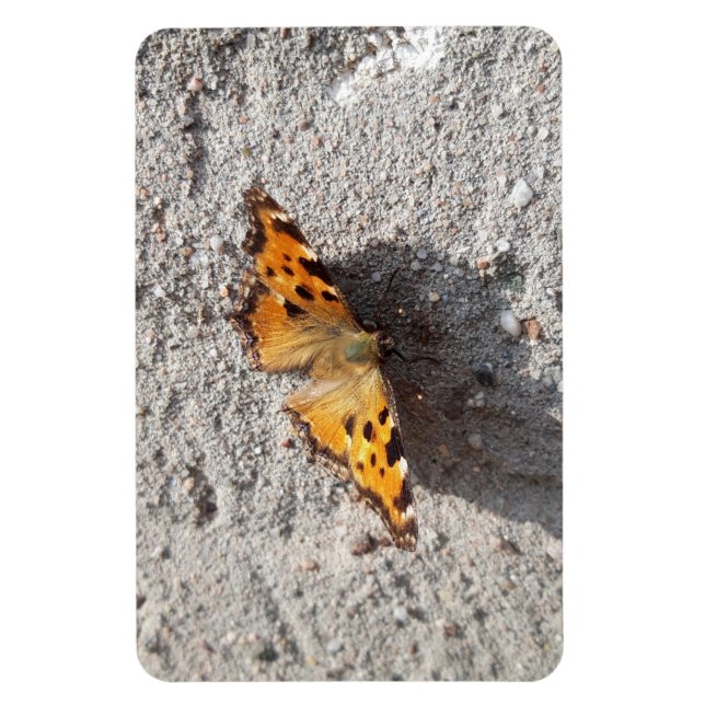Butterfly in the Sunshine Magnet (Vertikal)