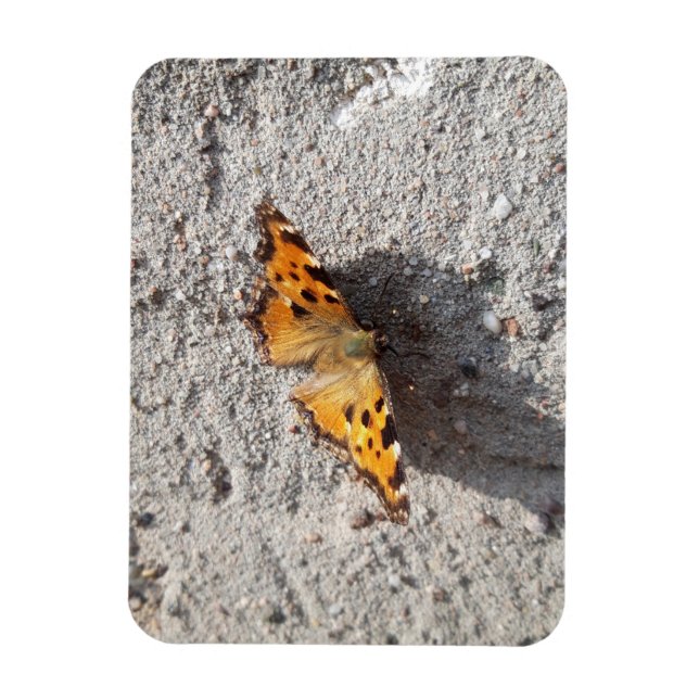 Butterfly in the Sunshine Magnet (Vertikal)