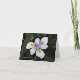 Butterfly Iris Kort