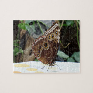 Butterfly Jigszawa Puzzle Pussel