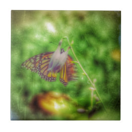 Butterfly Kakelplatta