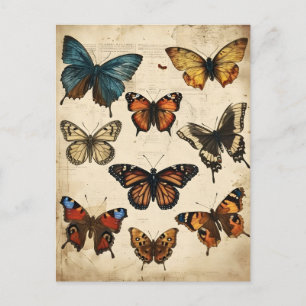 Butterfly Kaleidoscope: Vintage Postcard Vykort