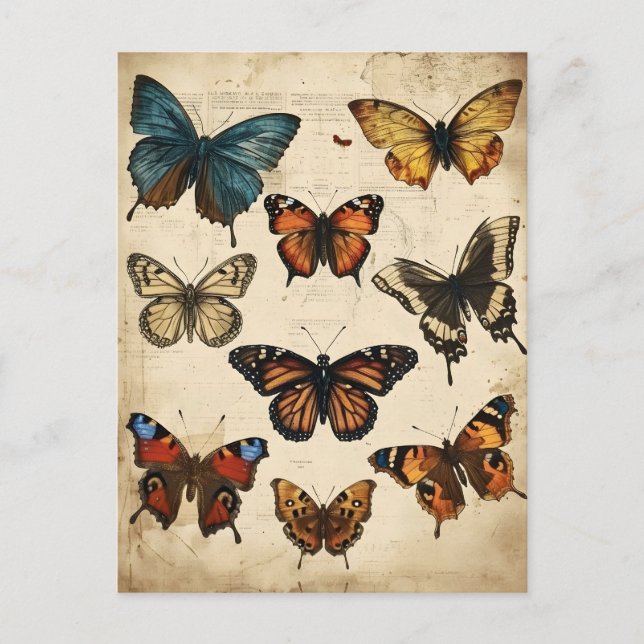 Butterfly Kaleidoscope: Vintage Postcard Vykort (Framsida)