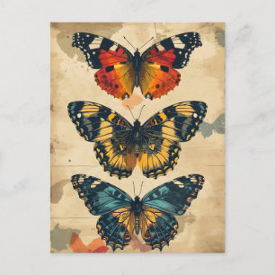 Butterfly Kaleidoscope: Vintage Postcard Vykort