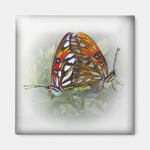 Butterfly Kärlek Magnet