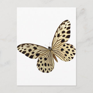 Butterfly Kids Saker Vykort