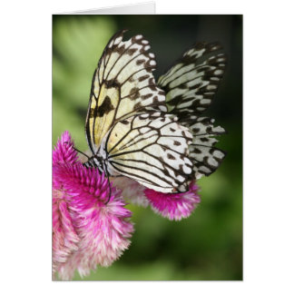 Butterfly Kisses I Hälsningskort