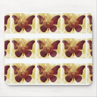 Butterfly Kisses Musmatta
