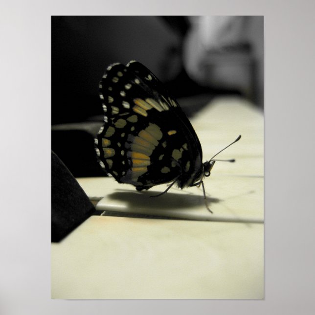 Butterfly Kisses Poster (Framsidan)