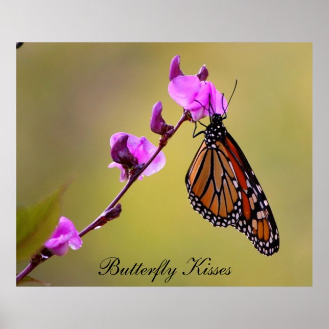 Butterfly Kisses Poster (Framsidan)