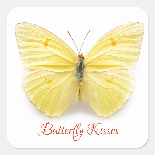 Butterfly Kisses Sticker Fyrkantigt Klistermärke (Framsida)