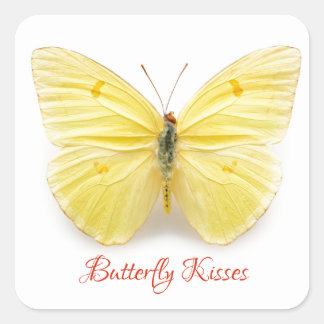 Butterfly Kisses Sticker Fyrkantigt Klistermärke