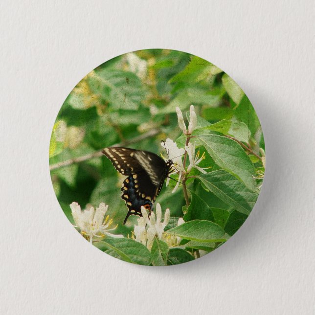 Butterfly Knapp (Framsida)