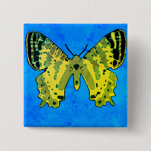 Butterfly Knapp