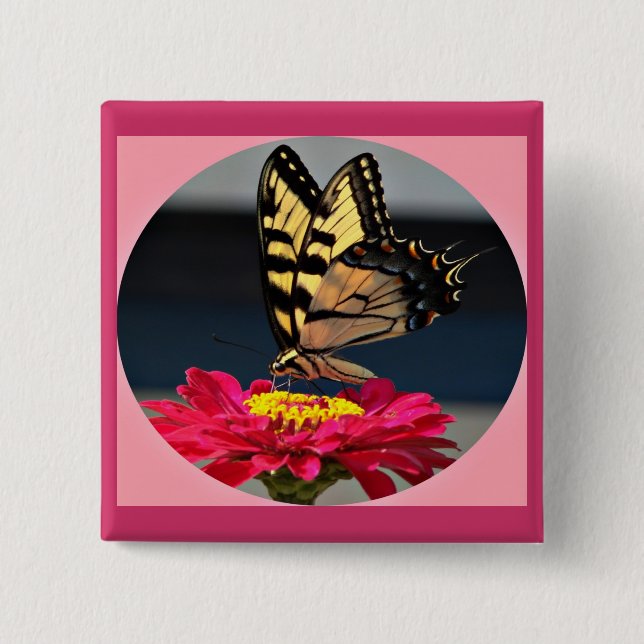 Butterfly Knapp (Framsida)