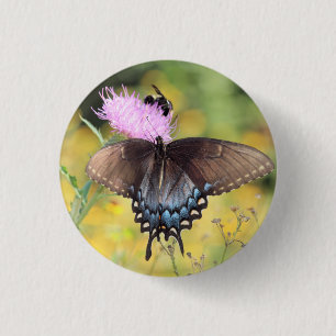 Butterfly Knapp