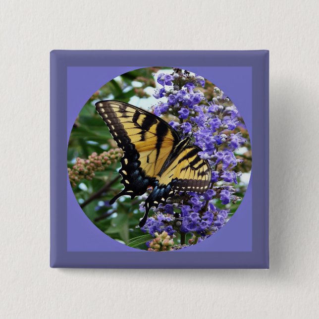 Butterfly Knapp (Framsida)