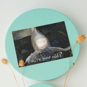 Butterfly Koi Photo Funny Birthday Kort