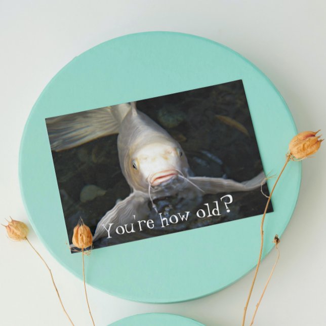 Butterfly Koi Photo Funny Birthday Kort (In Situ)