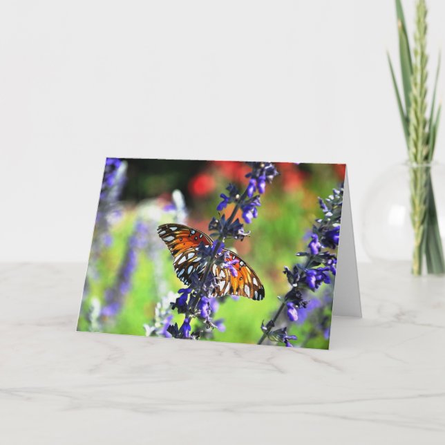 Butterfly kommer snart kort (Framsida)
